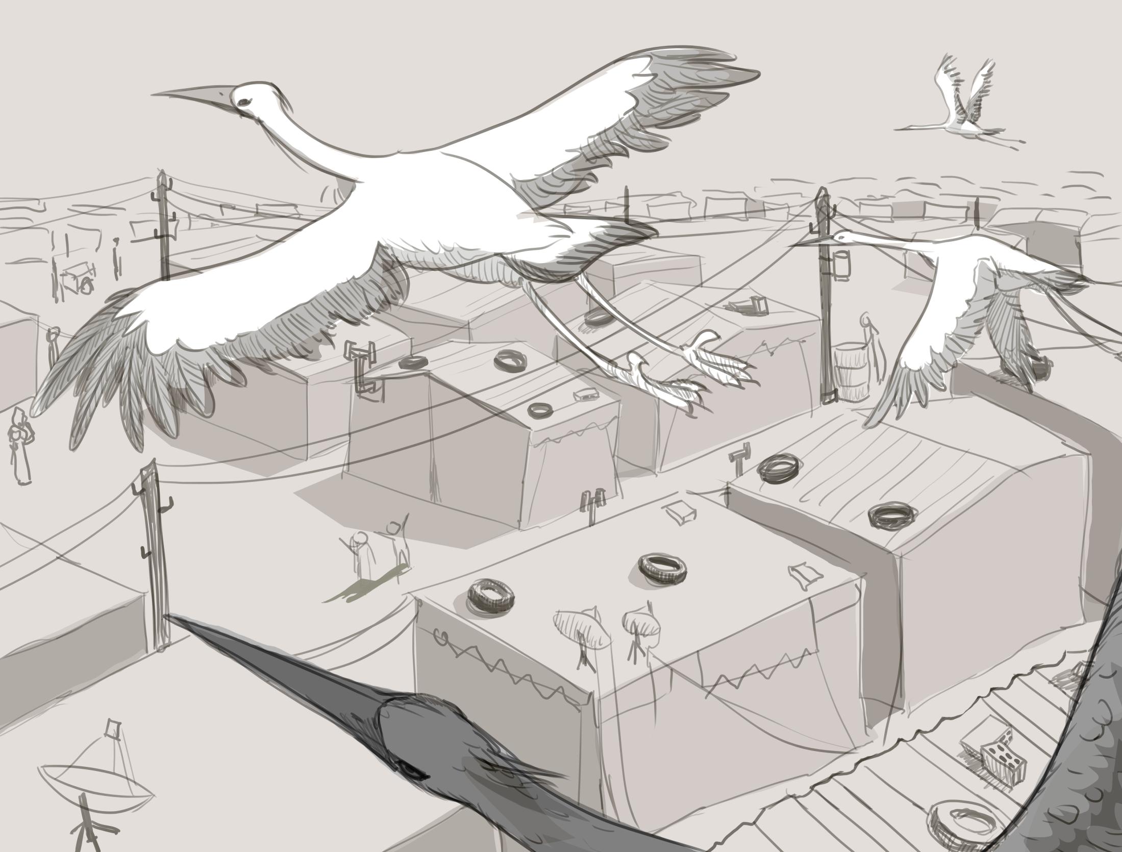 Illustration from N is for Nest by Karim Qabrawi