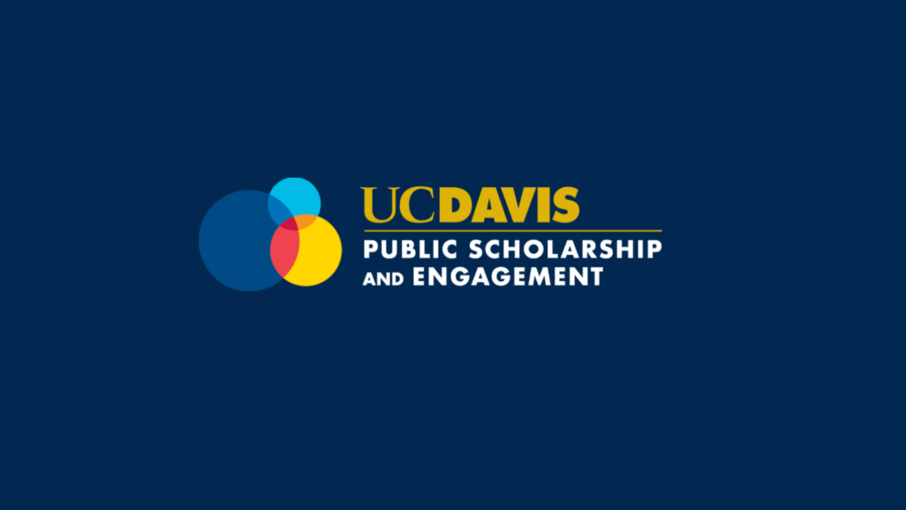 public scholars for the future