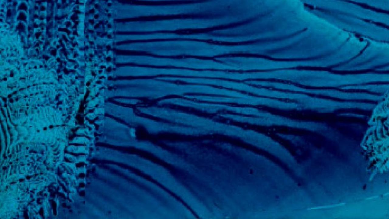 Detail from an Impression Figure by Margaret Watts Hughes, pigment on glass, looks like blue waves