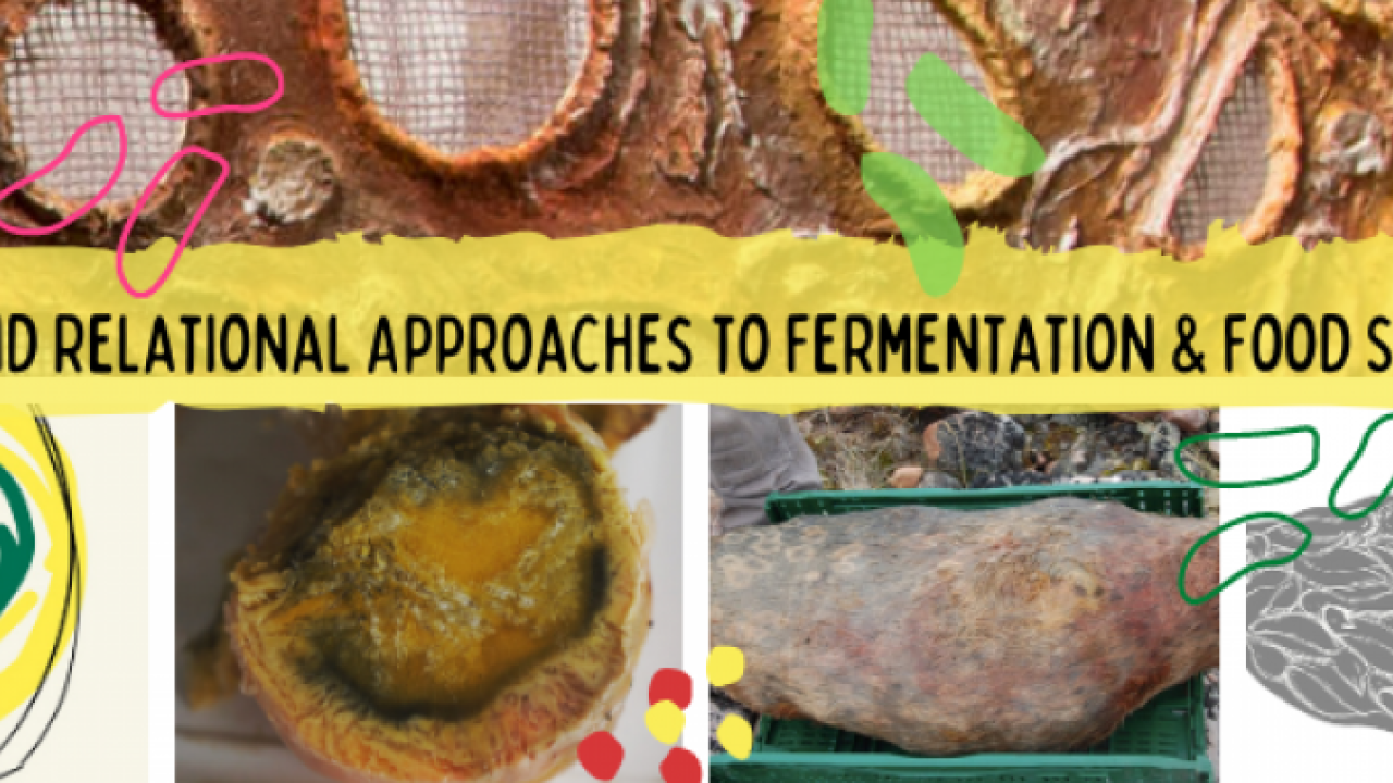 Banner for Radical and Relational Approaches to Fermentation and Food Sovereignty Cluster