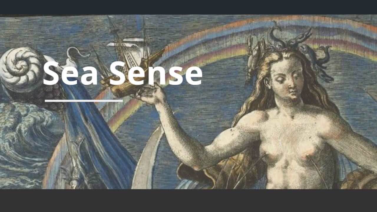 Sea Sense 