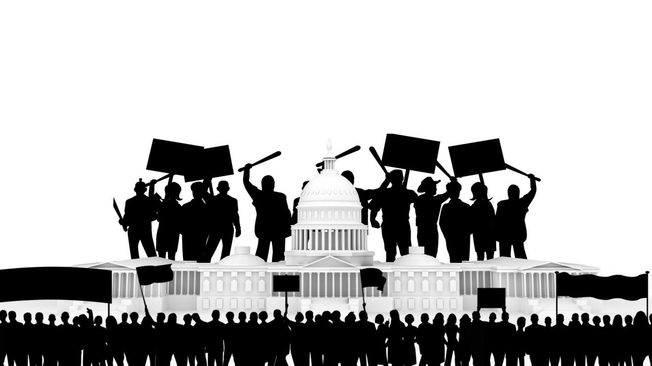 Capitol Insurrection
