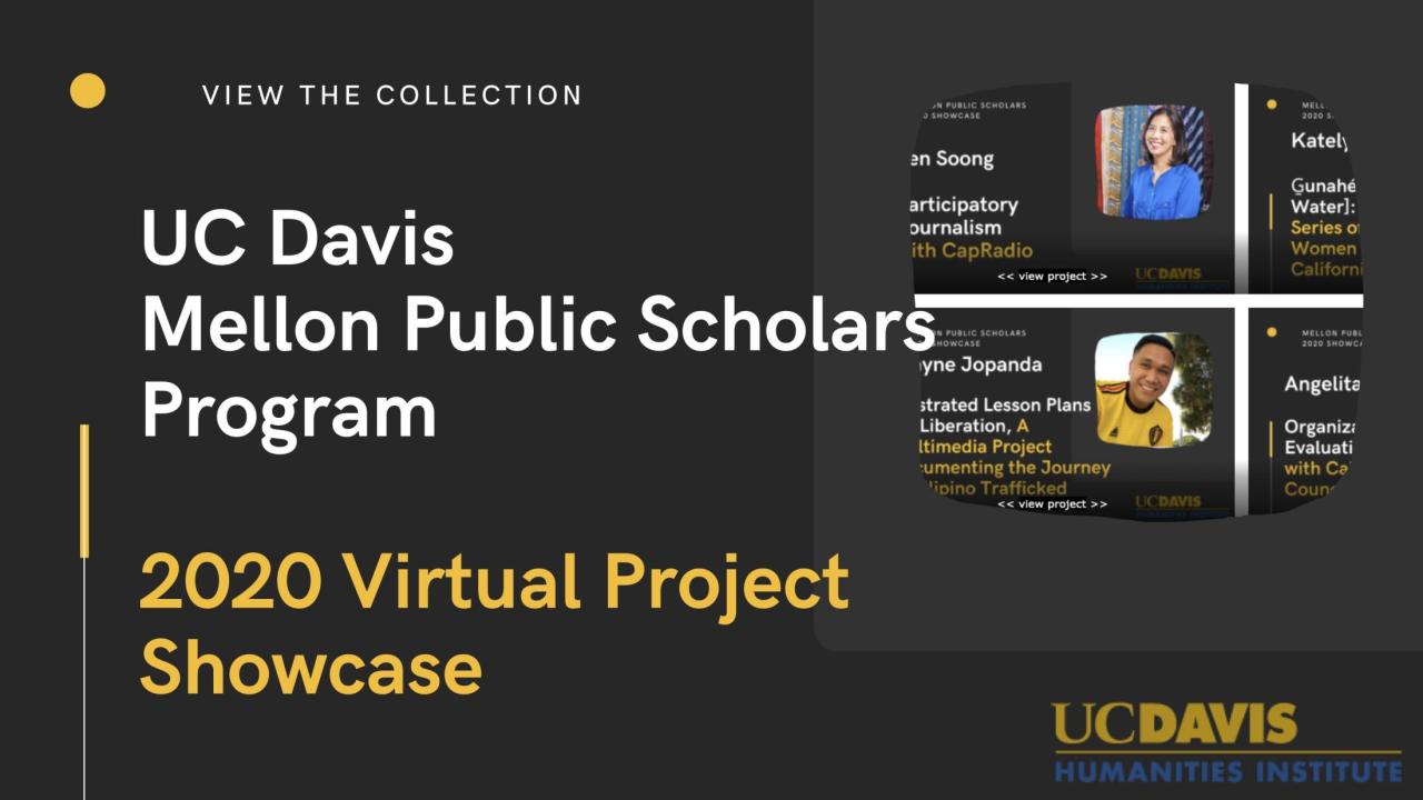 2020 mellon public scholars showcases