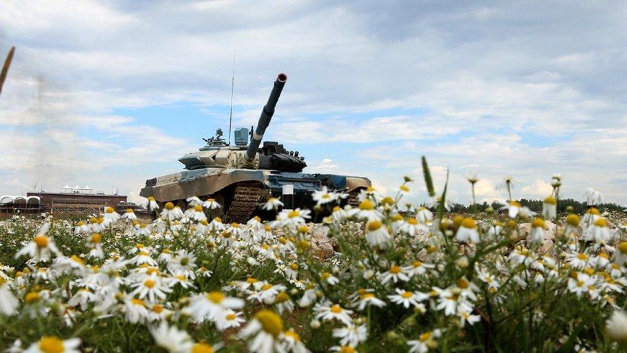 tank in a field of daisies