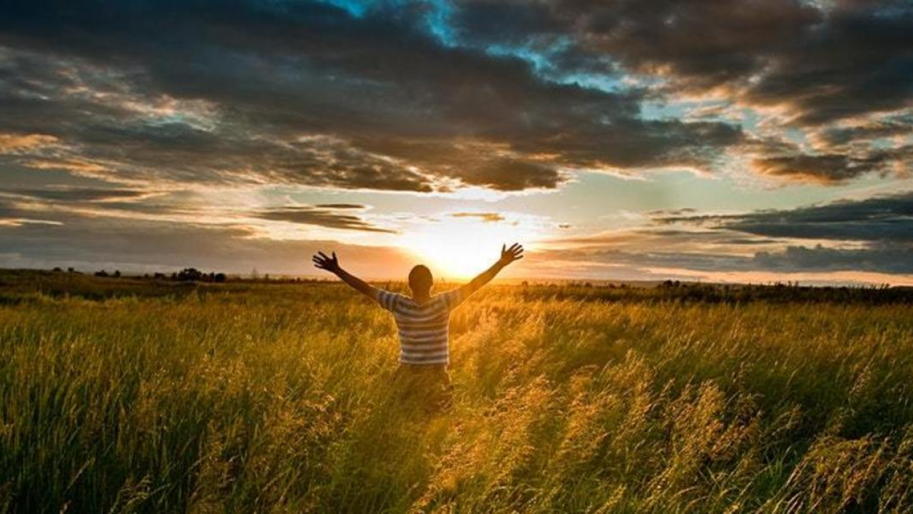person in wheat field