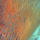 Sahara Desert image from satellite sensor via USGS