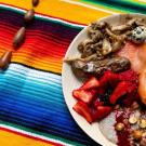 Cafe Ohlone dish