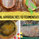 Banner for Radical and Relational Approaches to Fermentation and Food Sovereignty Cluster